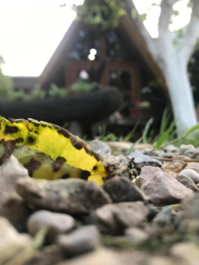 Бунгало Kheivani Eksteriør billede